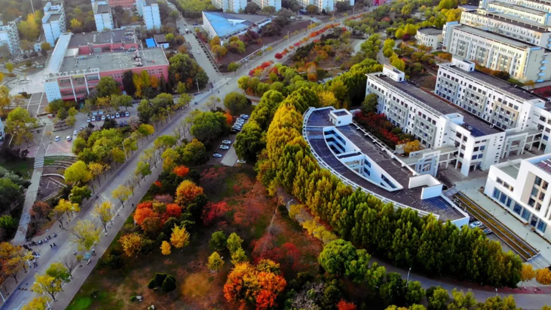 1763712616832128.png 1bd53406-a02b-415f-be05-566995e2b088.png